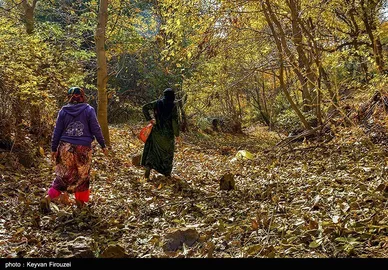 ایران زیباست | پاییز رنگارنگ کردستان