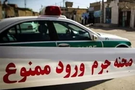 مرگ عامل جنایت هولناک خانوادگی پس از درگیری با پلیس