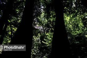 امروز برق کدام مناطق مشهد قطع می&zwnj;شود؟ (چهارشنبه ۱۲ خرداد)
