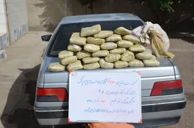 ۱۲ هزار دستگاه خودرو و ۵۰۰ ملک قاچاقچیان مواد مخدر توقیف شده است