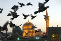 سیدجواد هاشمی: زمان مدح گذشته، امروز باید از سیره امام‌رضا(ع) فیلم ساخت