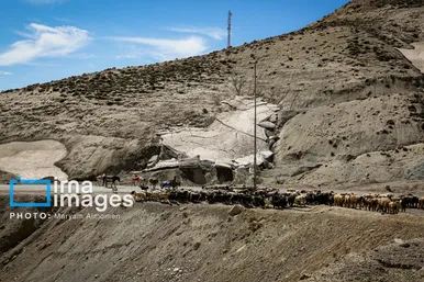 گزارش تصویری | «زندگی عشایری»