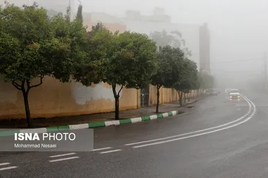ایران زیباست | پاییز در جنگل «النگدره»