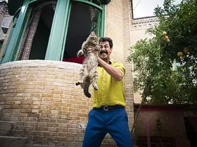 آیا &laquo;سال گربه&raquo; رکورددار گیشه&zwnj;های سینما در سال نهنگ خواهد شد؟