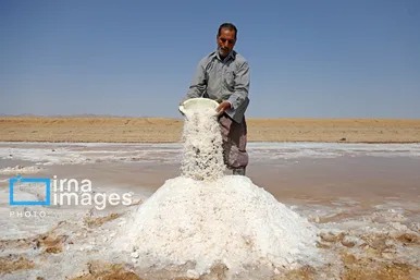 گزارش تصویری | برداشت نمک در دل کویر