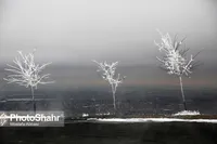 شروع چلّه بزرگ از فردا تا ۱۰بهمن