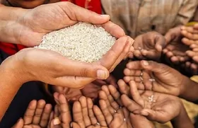 سی&zwnj;ان&zwnj;ان: ۶ کشور عربی خلیج فارس در آستانه قحطی غذا
