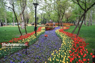 گزارش تصویری | جشنواره گل‌های لاله در مشهد