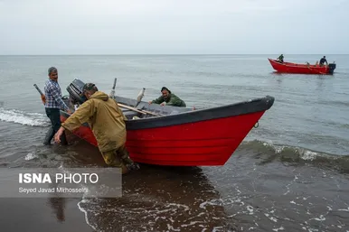 صید پره در دریای خزر