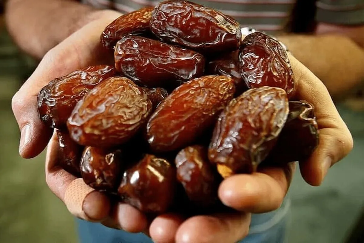 ایران سومین تولیدکننده بزرگ خرما در جهان است