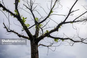 پیش&zwnj;بینی هواشناسی کشور | بارش پراکنده و هوای ابری فقط در برخی مناطق (۲۸ اردیبهشت ۱۴۰۴)