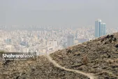 آنچه امسال از مشکلات مشهد روی زمین ماند