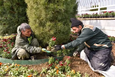 گل‌آرایی حرم مطهر رضوی در آستانه عید نوروز