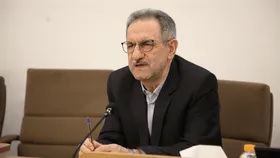 اظهارات جنجالی یک مسئول درباره انتقال محموله ۱۰ تُنی دارو از هند