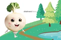 دانستنی‌های کودک | میوه‌های دل‌خواه ورزشکاران