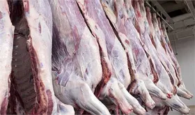 خرید گوشت از دامداران، زیر قیمت تمام شده