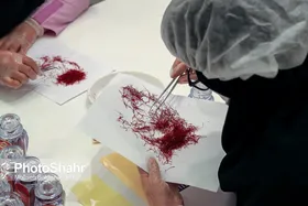 پیش بینی رشد ۸۰ درصدی صادرات زعفران با رفع موانع صادرکننده