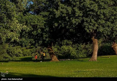 ایران زیباست | طبیعت بهاری منطقه دره اناران سپیدشت خرم آباد