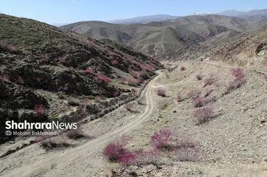 ایران زیباست | «ارغوان» پنجه‌ی خونین زمین
