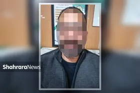 سومین متهم پرونده &laquo;دزد&zwnj;های میلیاردر&raquo; دستگیر شد