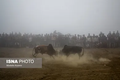 ایران زیباست؛ استان مازندران