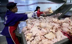 با بازگشایی کشتارگاه&zwnj;ها گوشت مرغ از فردا (3 فروردین) به میزان نیاز وارد بازار می&zwnj;شود