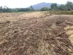 خسارت سیل در شهرستان جغتو ولایت غزنی افغانستان + عکس