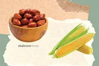 دانستنی‌های کودک و نوجوان | ذرت و سنجد دوست استخوان و دندان