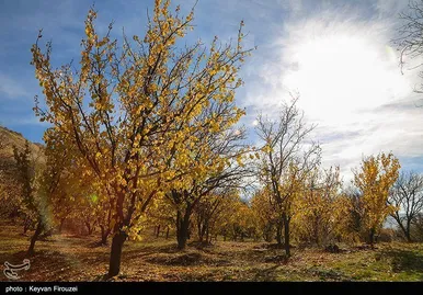 ایران زیباست | پاییز رنگارنگ کردستان