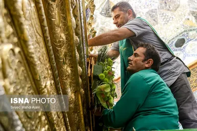 گزارش تصویری | گل آرایی ضریح حضرت معصومه (س) به مناسبت سالروز ورود ایشان به قم