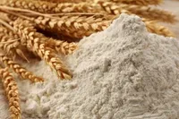 ویدیو| کشف ۵۴ هزار تن گندم و آرد قاچاق در رباط‌کریم