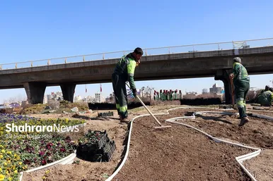 گل‌کاری در نقاط مختلف شهر مشهد