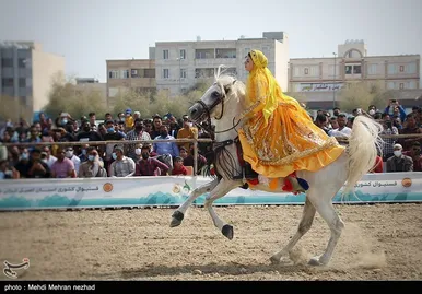 دومین فستیوال کشوری اسب اصیل ایرانی در بوشهر