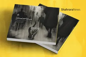 روایتی از کیارنگ علایی، عکاسی که این روز&zwnj;ها حامی گربه&zwnj;های آسیب&zwnj;دیده است | ما عاشق معصومیت هستیم