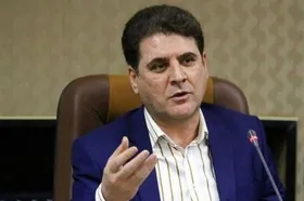 زینی وند: آئین&zwnj;نامه اجرایی قانون انتخابات شورا&zwnj;های اسلامی کشور تدوین شده است
