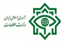 آغاز شناسایی عناصر و عاملان ترور &laquo;فخری زاده&raquo; توسط سربازان گمنام امام زمان (عج)