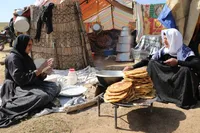 وزیر تعاون: اجرای مرحله نخست بیمه اجتماعی مادران روستایی و عشایری آغاز شد