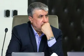 اسلامی: بدون سلاح هسته&zwnj;ای هم قادر به دفاع از کشور هستیم و بازدارندگی لازم را داریم | سوخت نیروگاه بوشهر برای سال ۲۰۲۶ تامین شده است