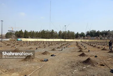 پویش سراسری درخت‌کاری در بوستان جهانشهر