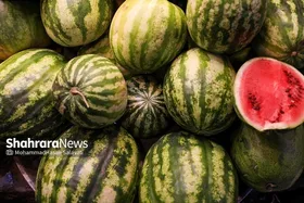 بررسی قیمت میوه شب یلدا در سطح شهر مشهد (۳۰ آذر ۱۴۰۴) | از هندوانه ۳۲ هزار تومانی تا پرتقال ۲۰۹ هزار تومانی