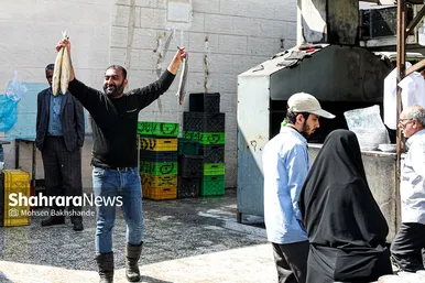 بازار ماهی فروشان در شهرک عرب‌های مشهد