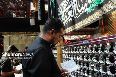 اربعین حسینی در کربلای معلی