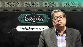 ویدئو | پیرغلامان شهر امام مهربانی&zwnj;ها | سید محمود ابن&zwnj;الرضا