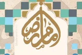 دل&zwnj;نوشته&zwnj;&zwnj;ی همسایه&zwnj;ی نوجوان امام رضا(ع) | در پناه تو