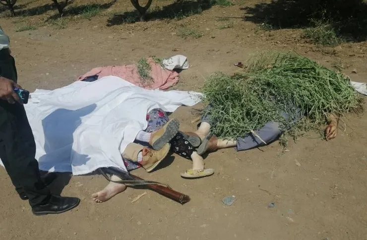استاد دانشگاه سنندجی اعضای خانواده‌اش را قتل عام کرد + عکس