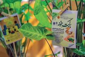 درباره طرح &laquo;برکت خونه&raquo; و گام فرهنگی شهرداری مشهد برای والدینی که صاحب فرزند شده اند