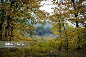 گزارش تصویری | پاییز در النگ دره