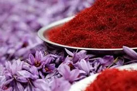 یک هزار میلیارد تومان تسهیلات برای تعادل&zwnj;بخشی در بازار زعفران اختصاص یافت