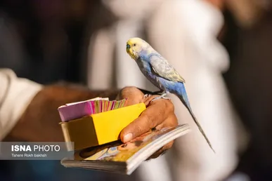 گزارش تصویری | آیین بزرگداشت حافظ با حضور وزیر ارشاد - شیراز