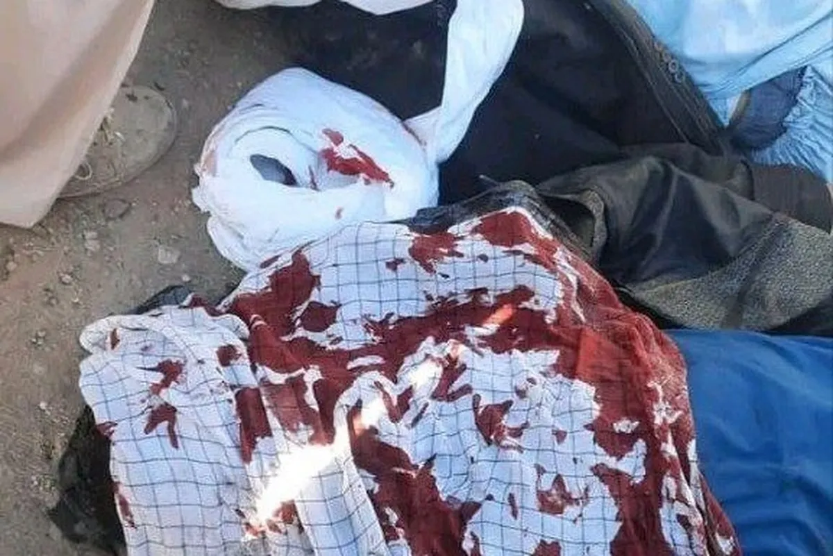 منابع محلی از حمله تروریستی به شیعیان در هرات خبر دادند